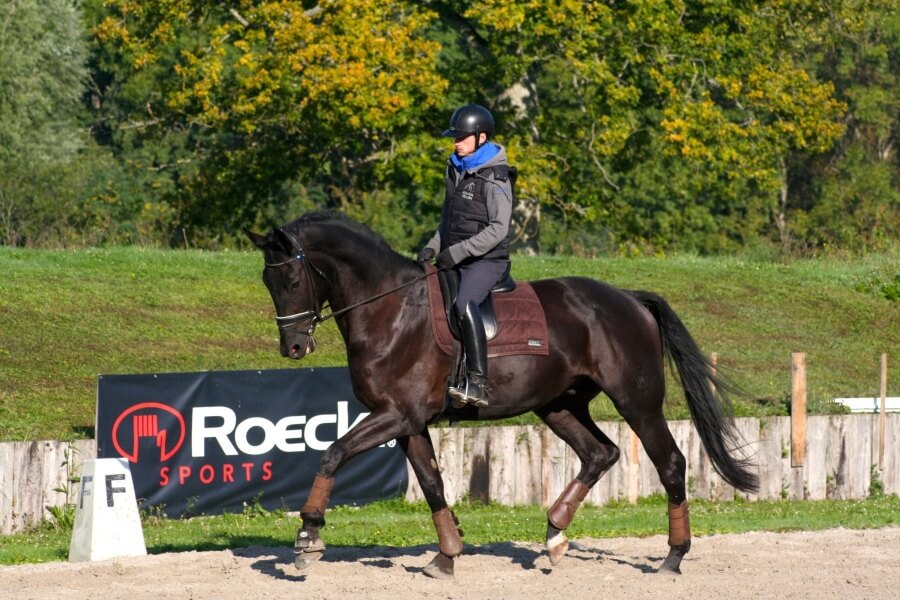 Technique Dressage : la correction de l’allure