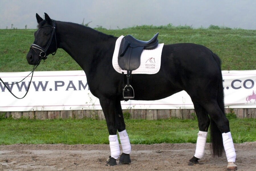 Journée Portes Ouvertes Programme