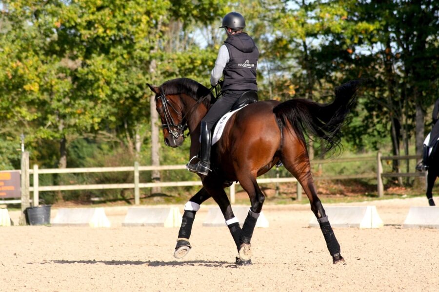 Gotcha sensationnel au CDIU25 du Mans