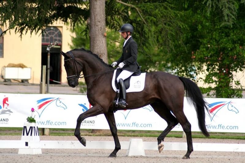 Fontainebleau JCD, un 4 ans plein de talent
