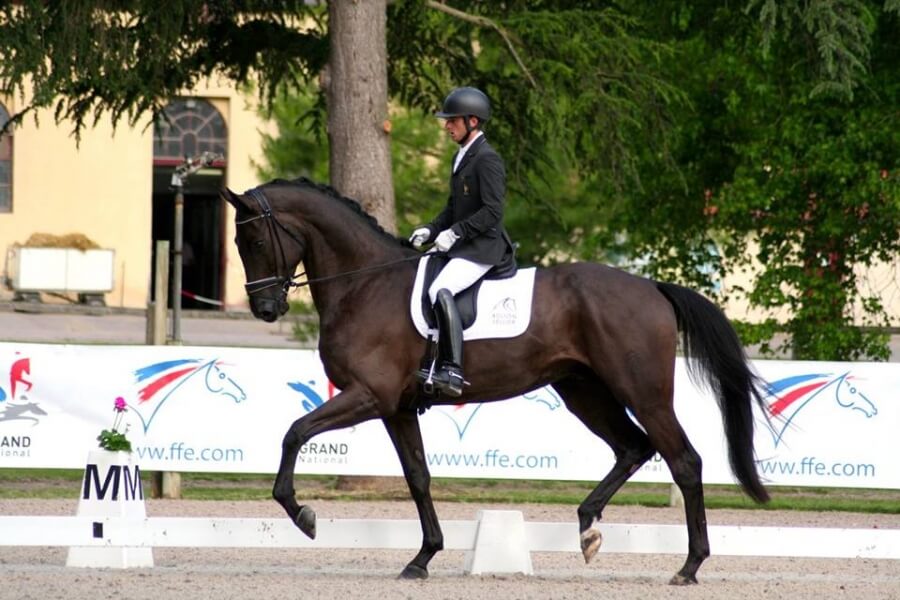 Fontainebleau JCD, un 4 ans plein de talent