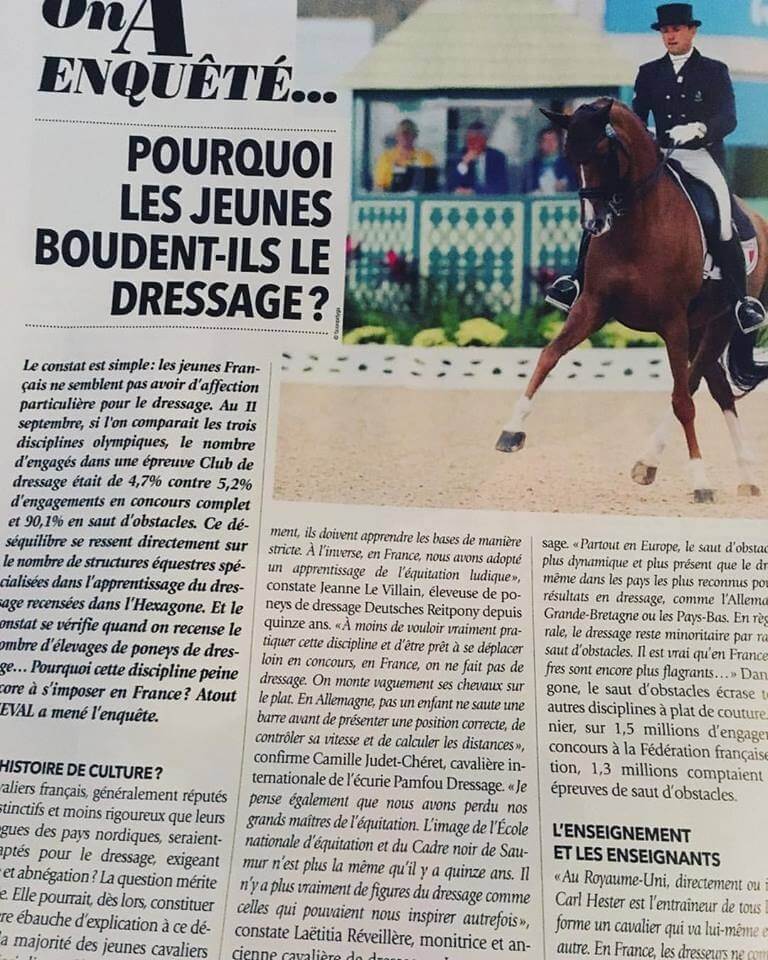 Les jeunes boudent-ils le dressage ?