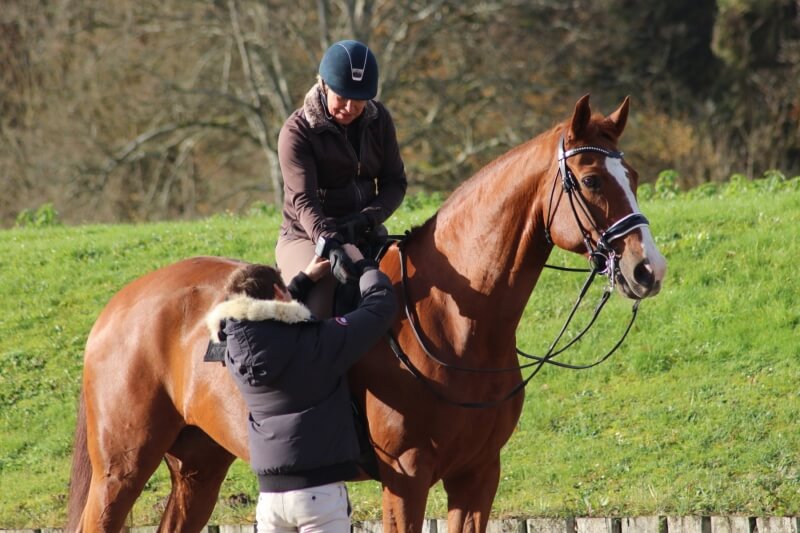 Stage de dressage à Vannes