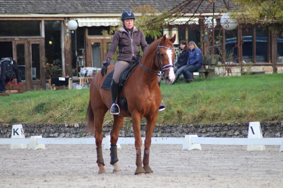 Vente, stage, concours