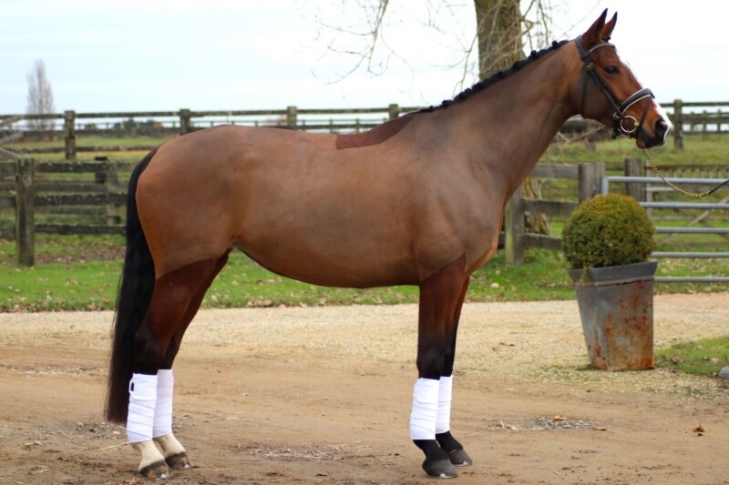 First Kiss vendue à Alix Denis