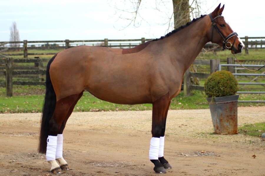 First Kiss vendue à Alix Denis