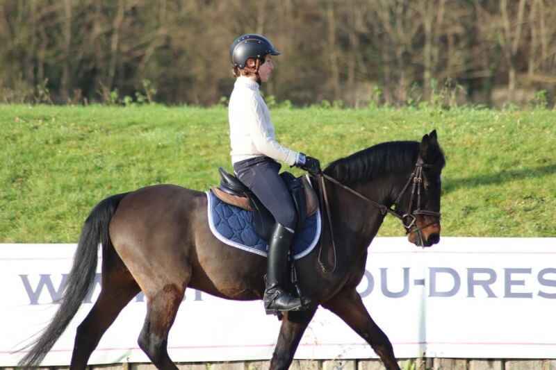 Concours amical 14 janvier et 4 février