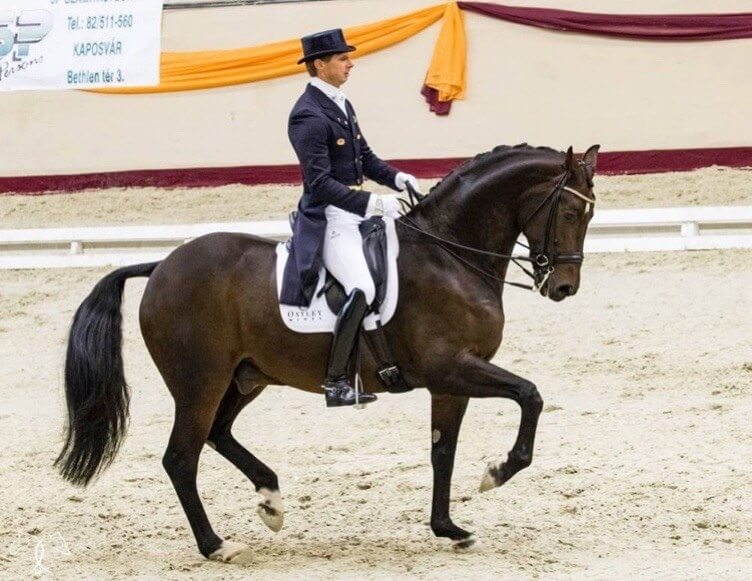 Technique Dressage : Le piaffer