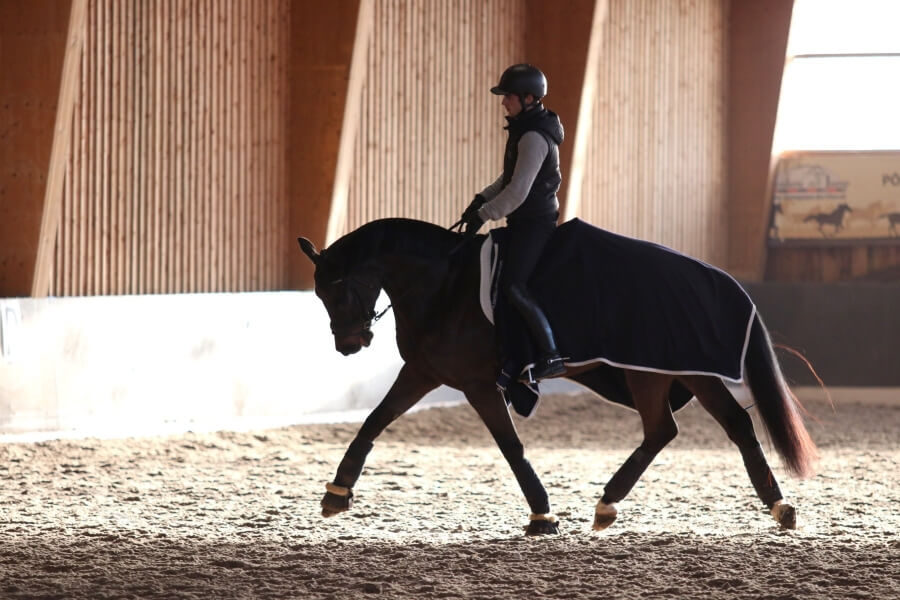 Le fils de Totilas invincible au Mans