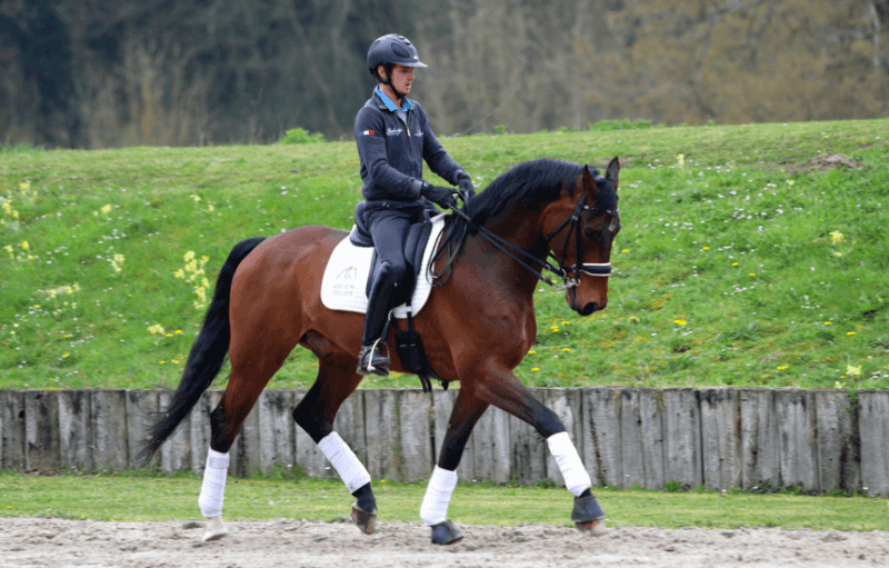 Velisko de Lauture en route vers la Suisse