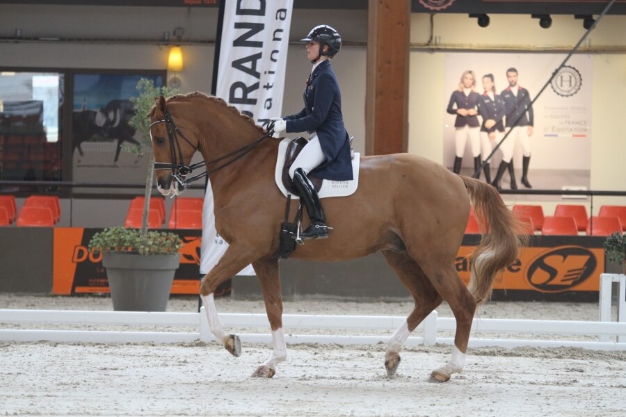 Scoop danse à la victoire au Grand National du Mans