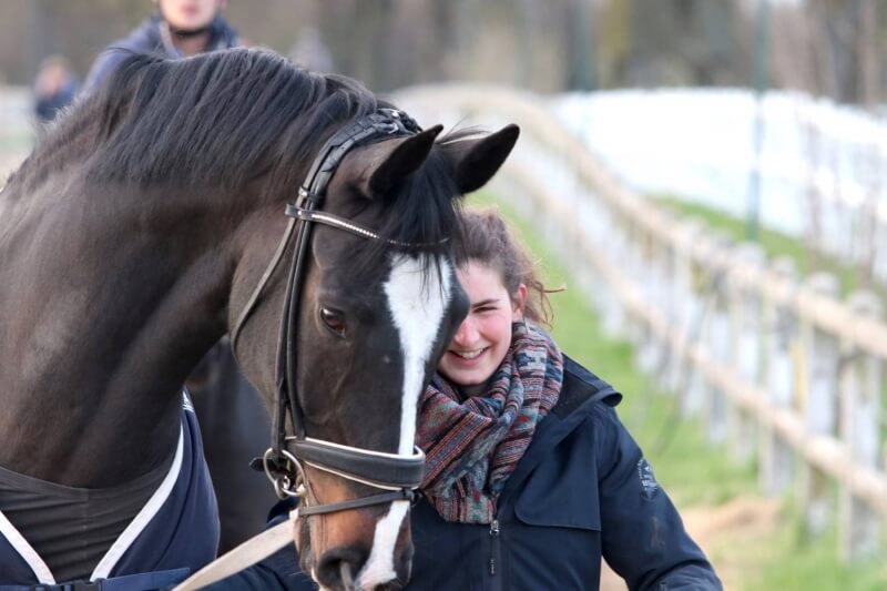 RECHERCHE RESPONSABLE D'ÉCURIE