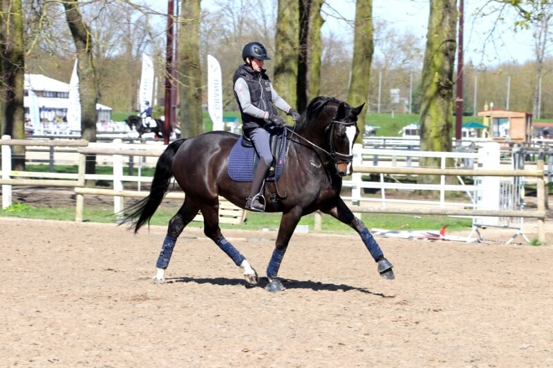 BS Boots nouveau partenaire de Pamfou Dressage