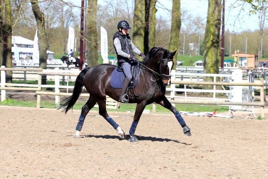 BS Boots nouveau partenaire de Pamfou Dressage