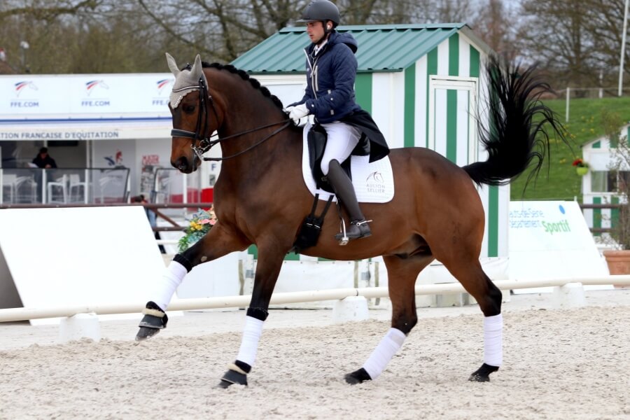 Victoire à Jardy pour la Team Pamfou Dressage