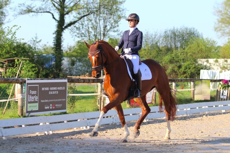 Début gagnant dans les 6 ans pour Dancing Highness JCD