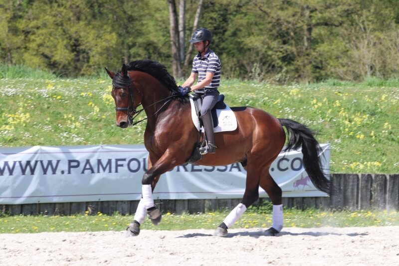 Nouveau propriétaire pour Fortunatus