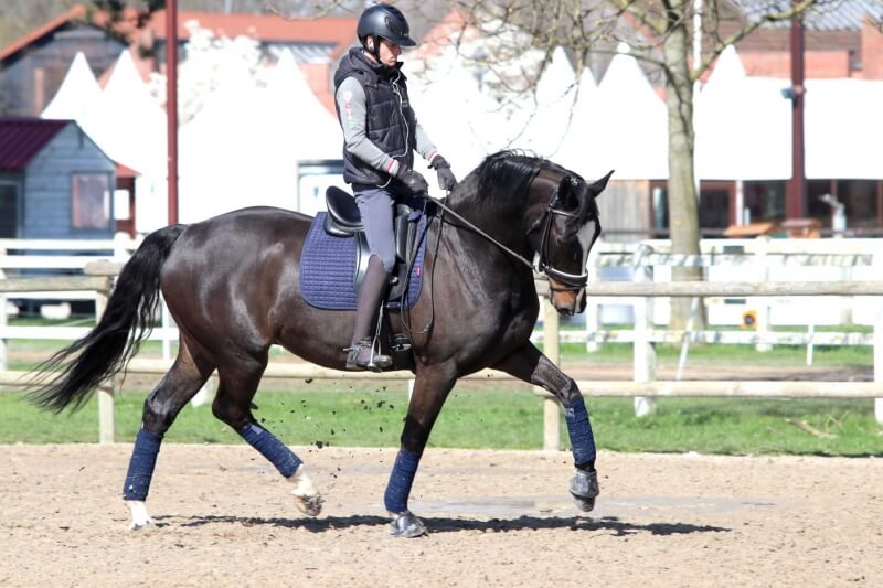 Technique Dressage : Soigner les passages de coin