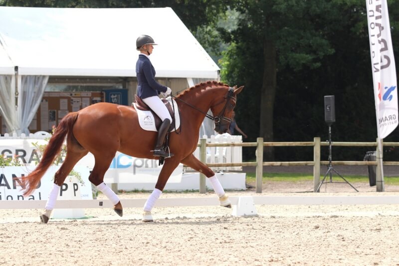 Dancing Highness sélectionnée pour Ermelo