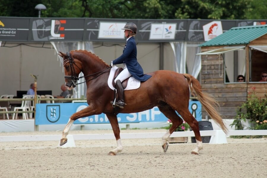 Scoop dépasse les 70% au Grand National de Rosières