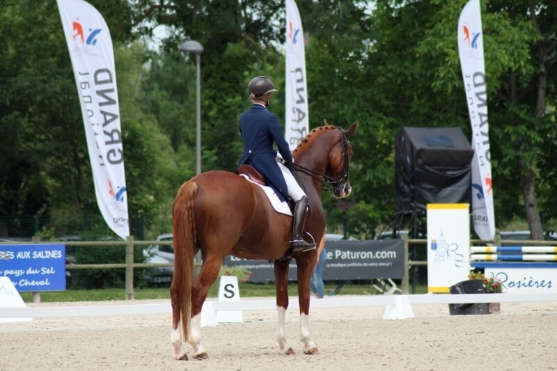 Technique Dressage : Les notes d'ensemble