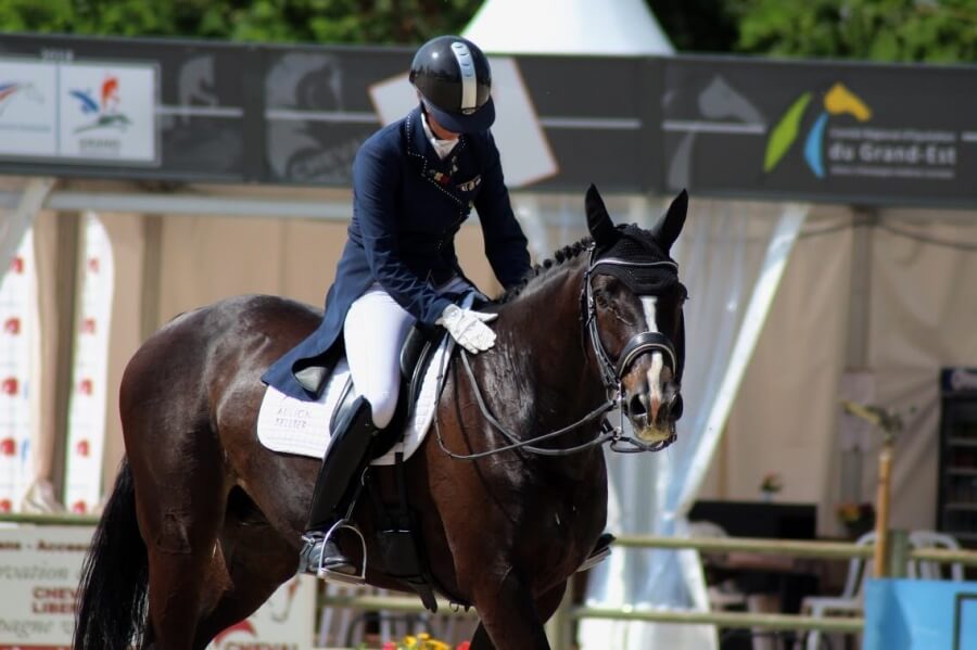 Technique Dressage : Manier la bride avec tact