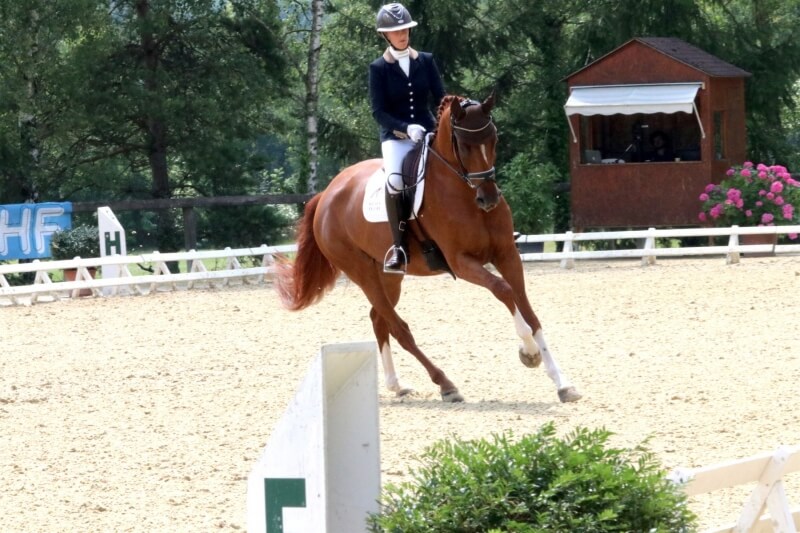 Nouvelle prime Espoir pour Dancing Highness à Vierzon