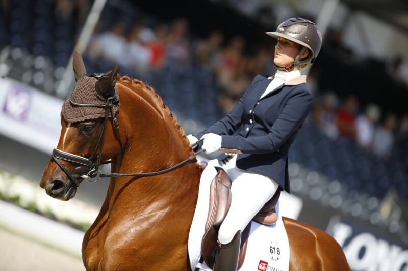 Technique Dressage : Apprendre son texte