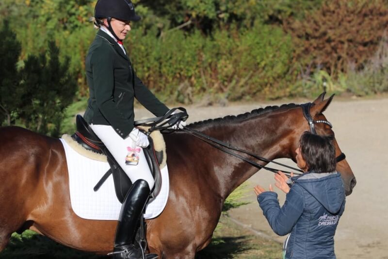 Pamfou Dressage se déplace à Vannes, Genève et Besançon