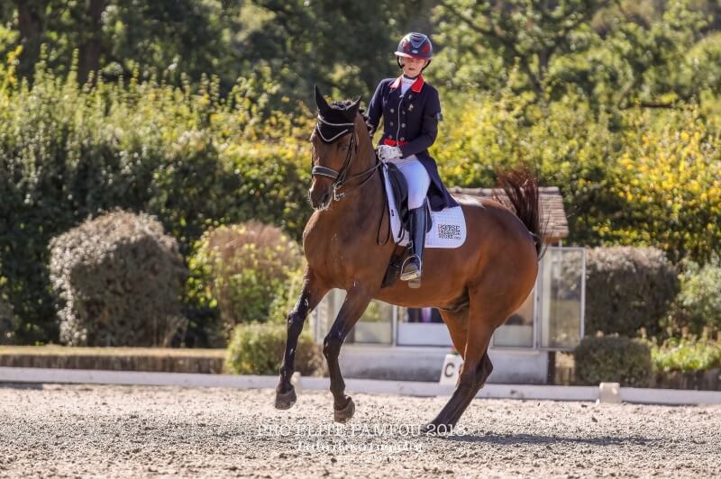 Technique Dressage : Planifier ses concours