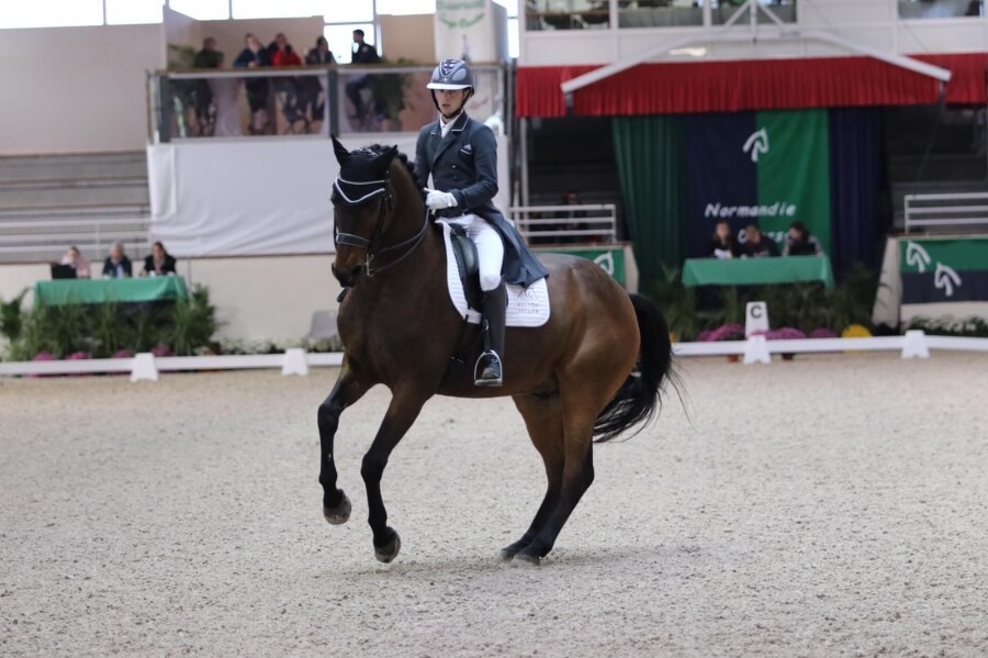 Technique Dressage : La pirouette au galop