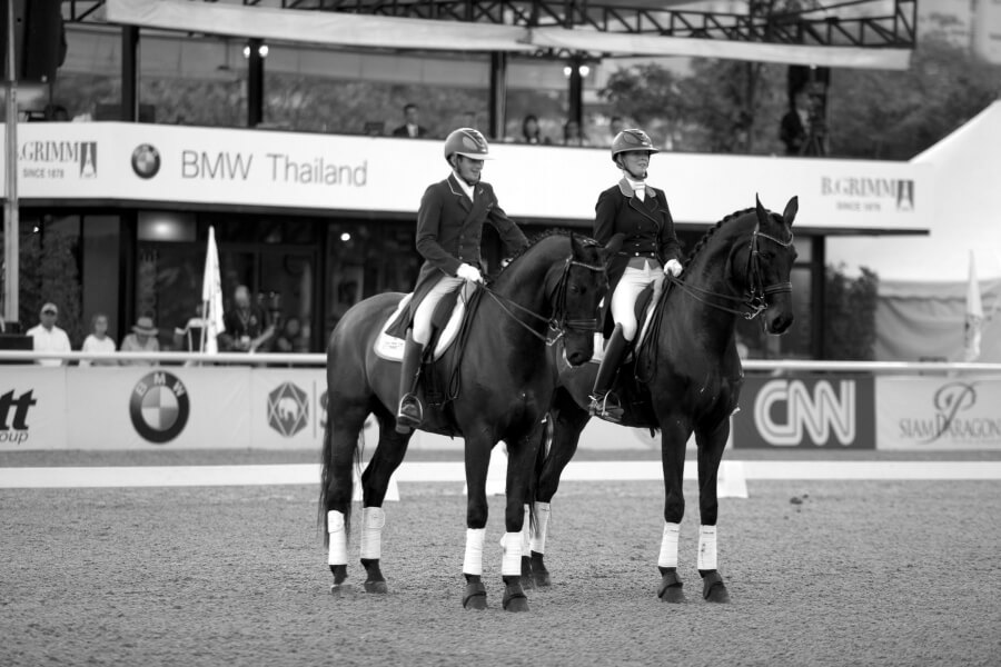 Cours de dressage et préparation mentale