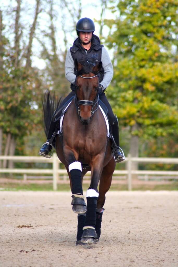 Technique Dressage : Les changements de pied au temps