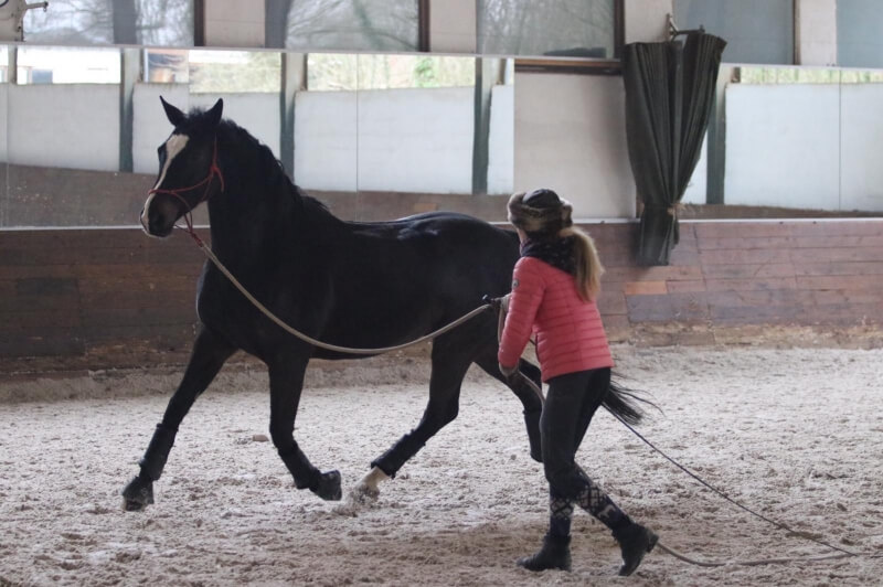 Un après midi avec Magdalena Pommier