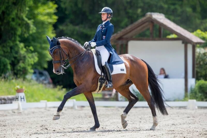 Technique Dressage : La parade