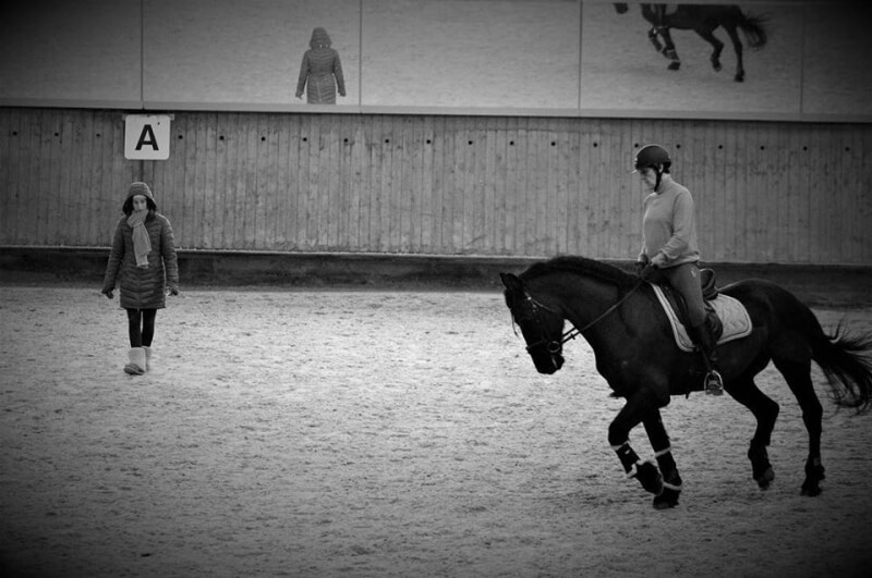 Camille et Corentin à Genève, Isabelle à Caen