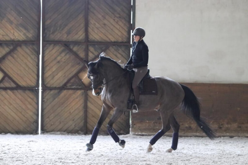 Technique Dressage : La volte, pourquoi et comment ?