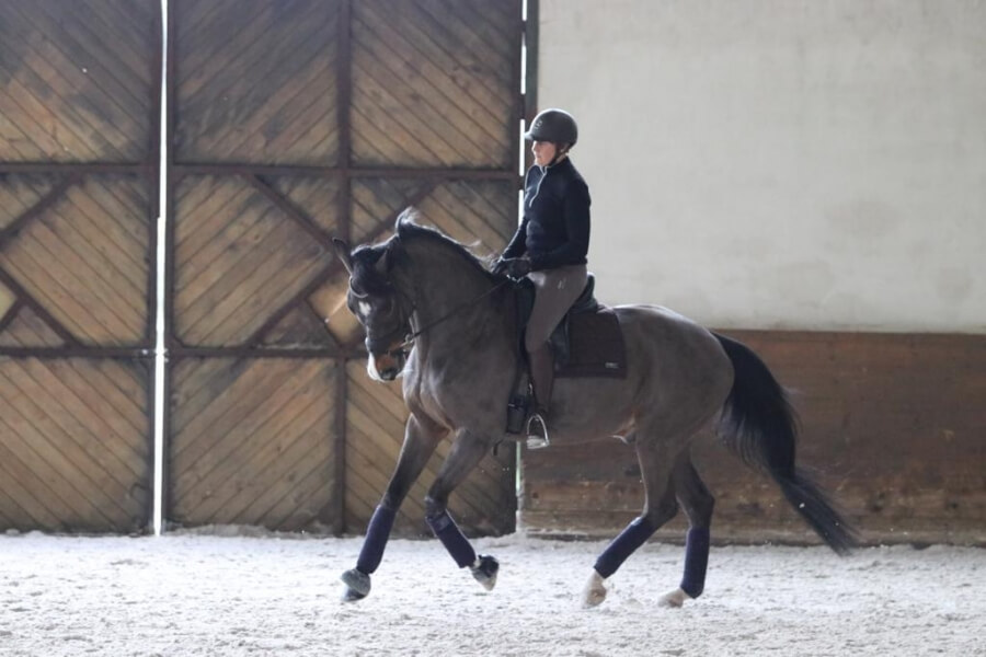 Technique Dressage : The circle, why and how ?