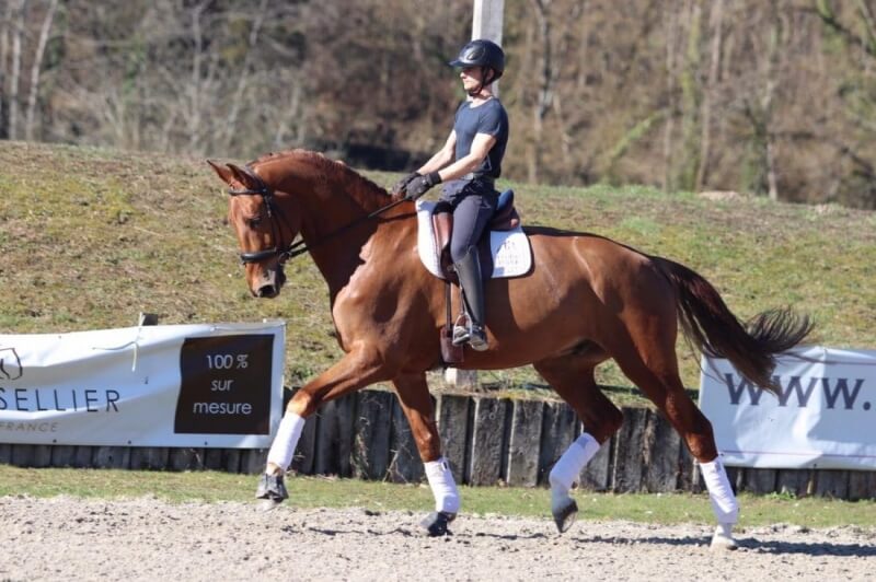 Dates importantes à venir