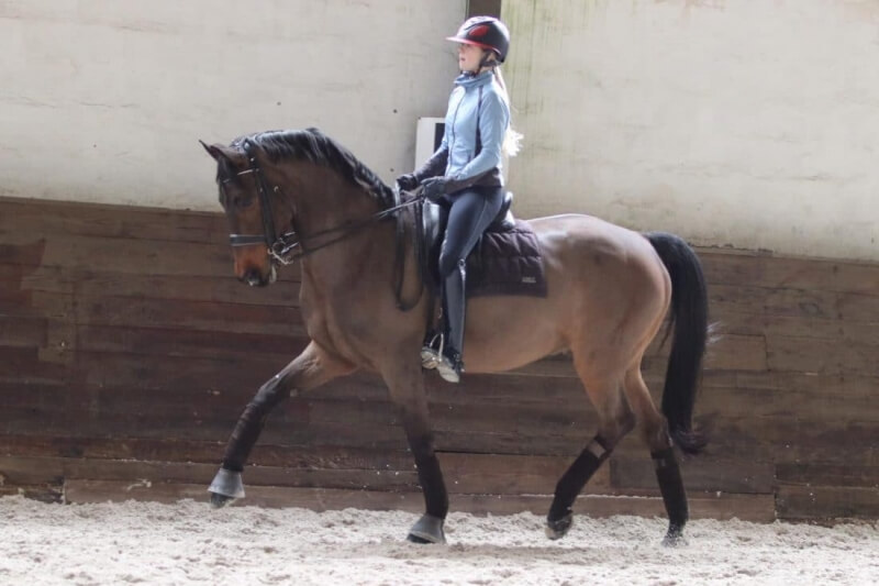 Gotcha reprend du service avec Ella, 15 ans