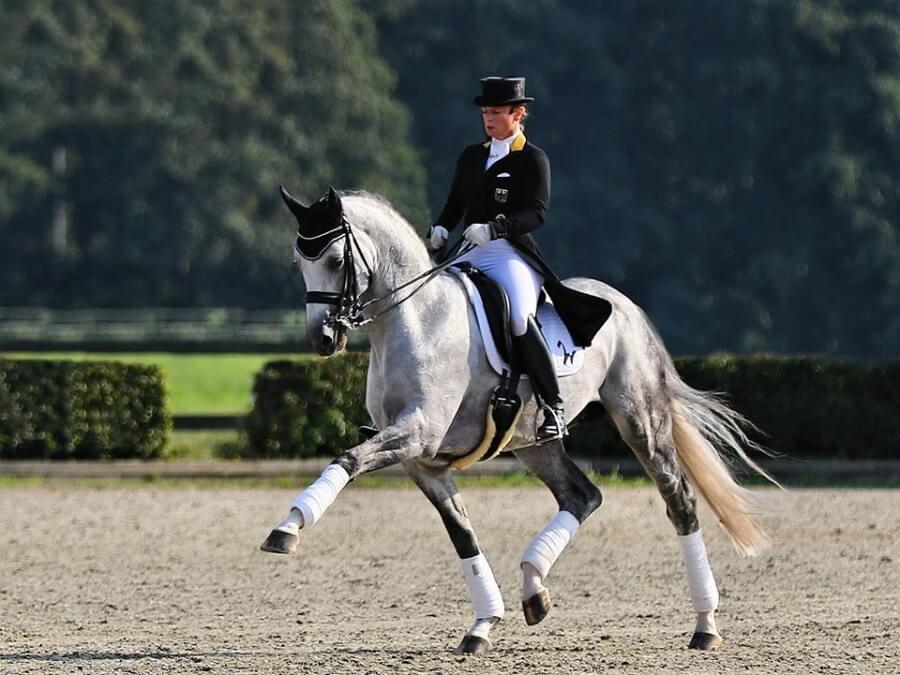 Master Class Aulion Sellier avec Isabell Werth à Pamfou Dressage