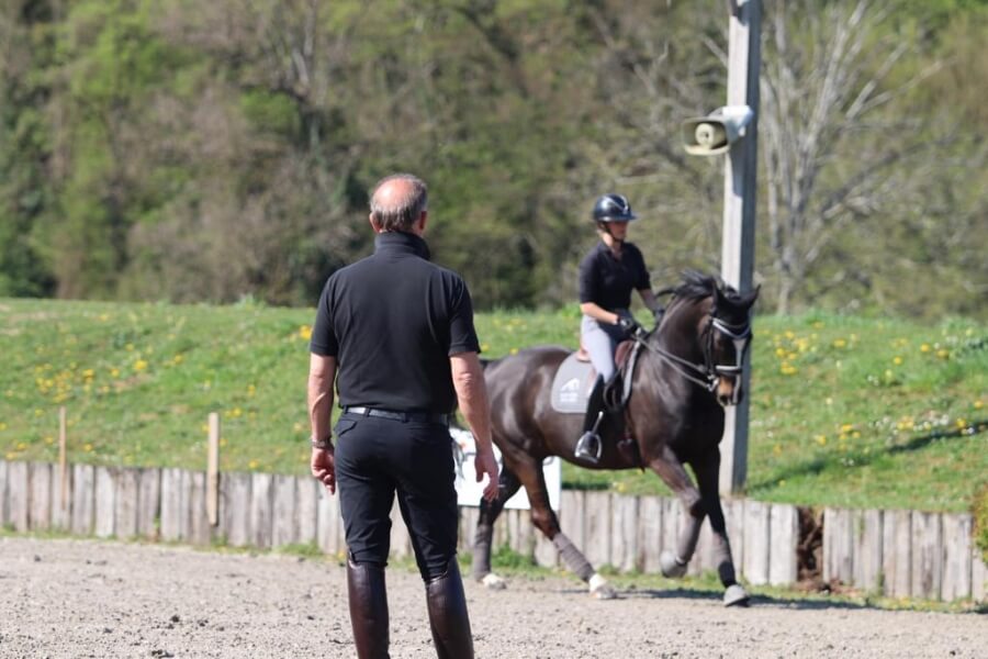 Norbert van Laak de retour à Pamfou Dressage