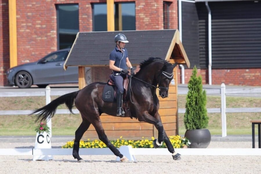 Technique Dressage : Gérer un cheval chaud