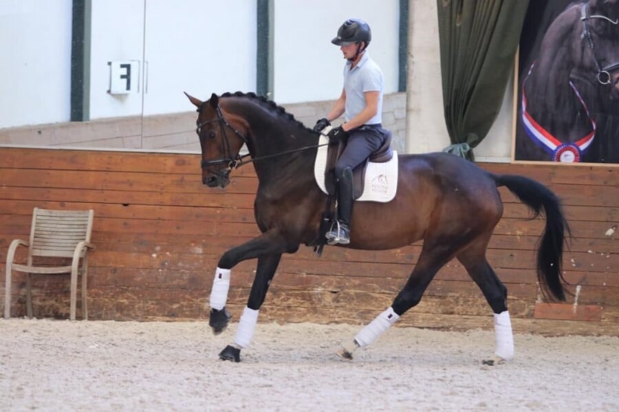 Technique Dressage : Le ferme à ferme