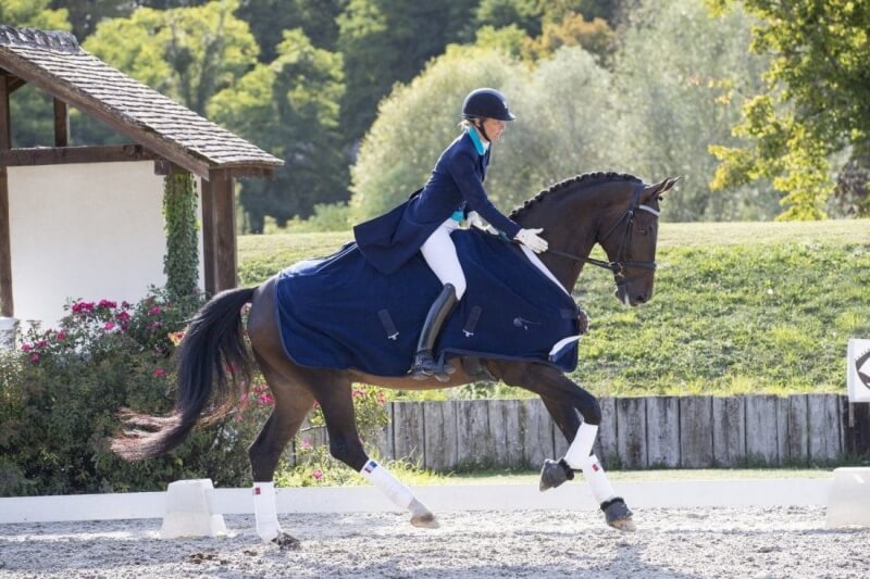 Une sixième édition réussie du Pro Elite Pamfou Dressage