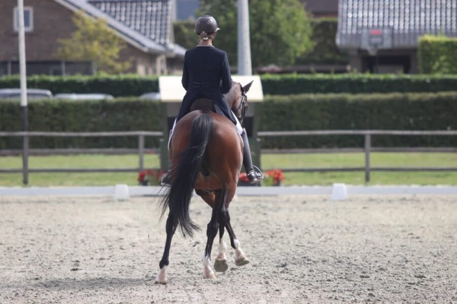 Technique Dressage : L'appuyer