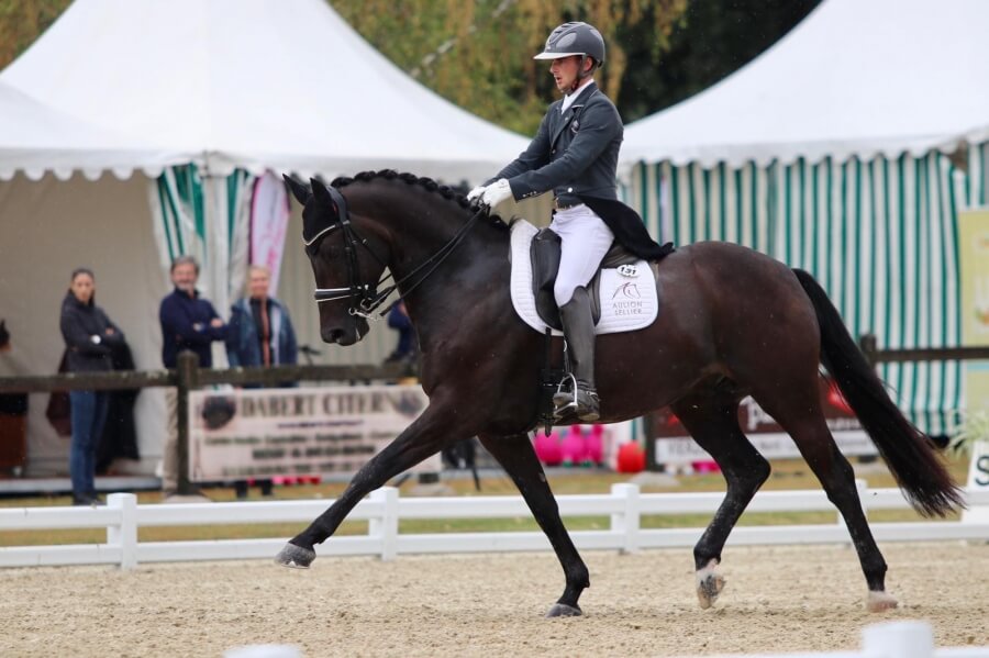 Gotilas gagne à l'international avec près de 74%