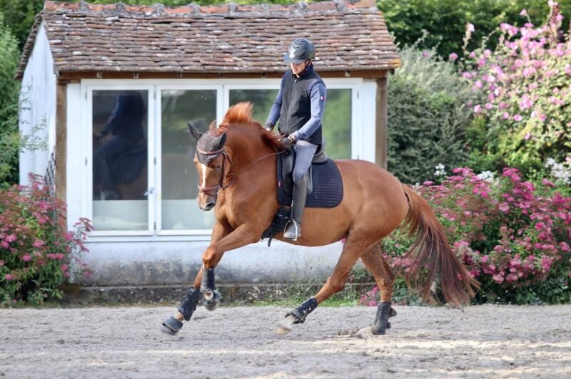 La relève est assurée pour Camille et Corentin