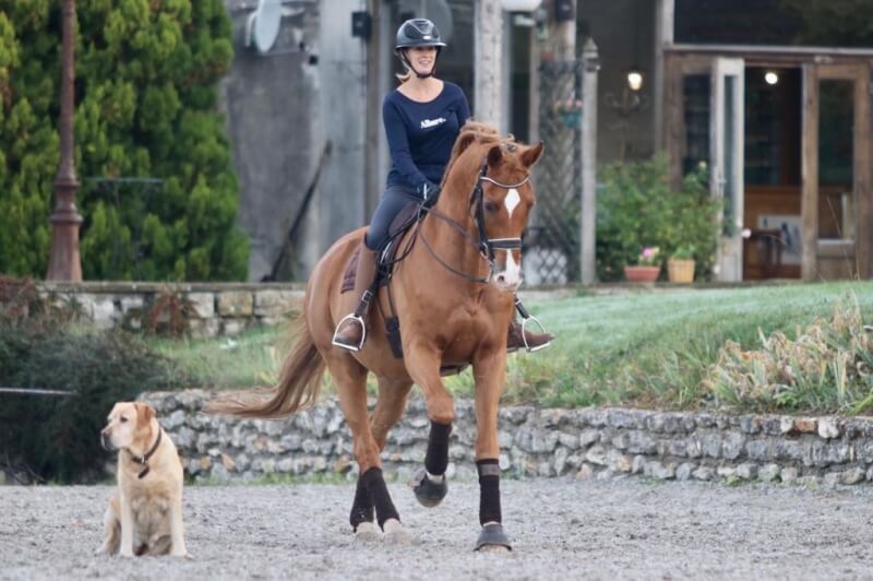 Technique Dressage : Posture et préparation physique du cavalier