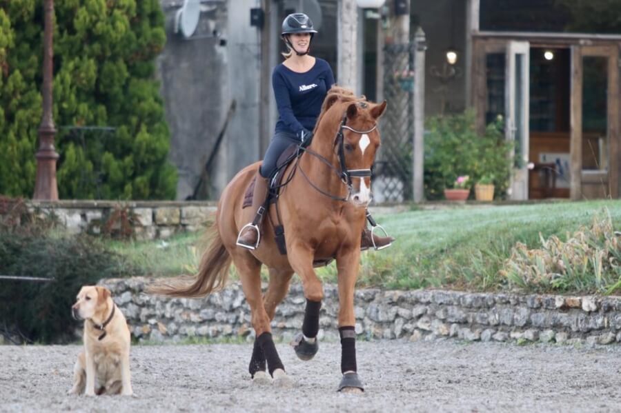 Technique Dressage : Posture et préparation physique du cavalier